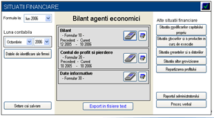 ROA Situatii Financiare Screenshot